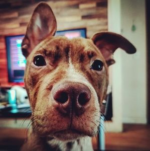 Meet your Posher, Richard